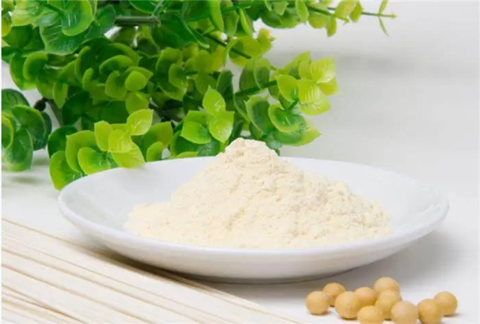 ORGANIC Soy Lecithin Powder ORGANIC Soy Lecithin Powder