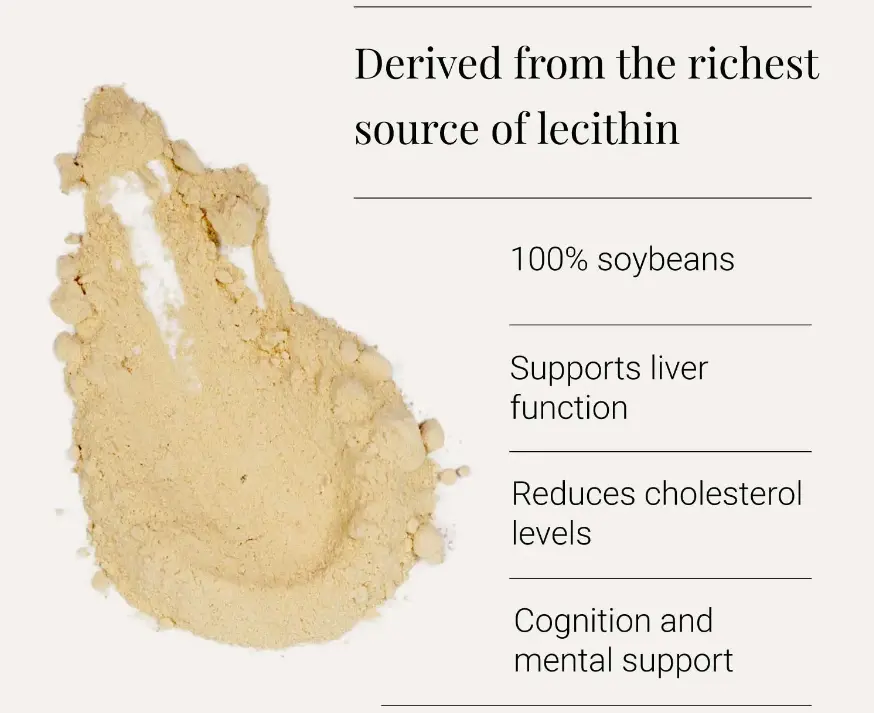 Soy Lecithin Powder uses Soy Lecithin Powder uses