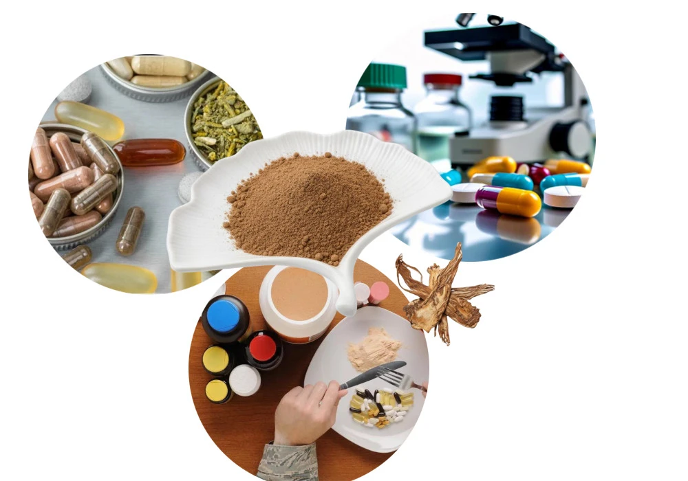 angelica extract application angelica extract application