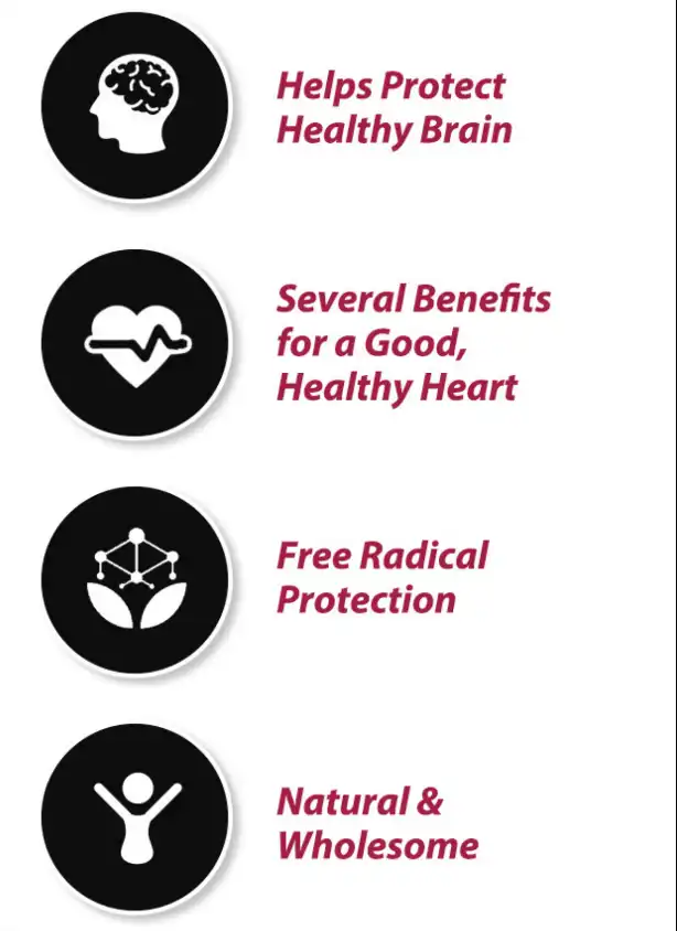Resveratrol powder for heart and brain Resveratrol powder for heart and brain