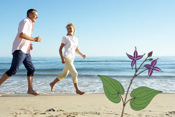 Epimedium Extract for women