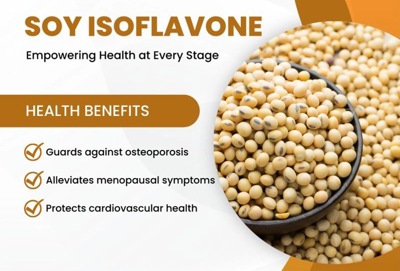 Soy Isoflavone Powder benefits