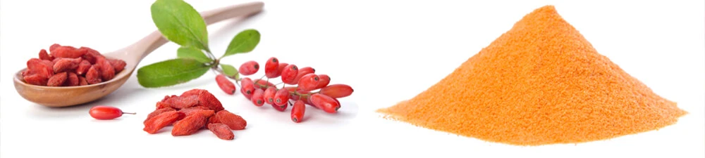 Organic Goji Berry Powder Organic Goji Berry Powder