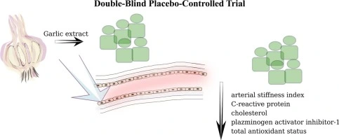 garlic extract  garlic extract