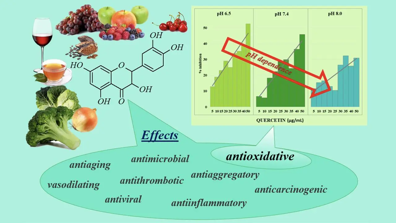 Quercetin powder antioxidiant