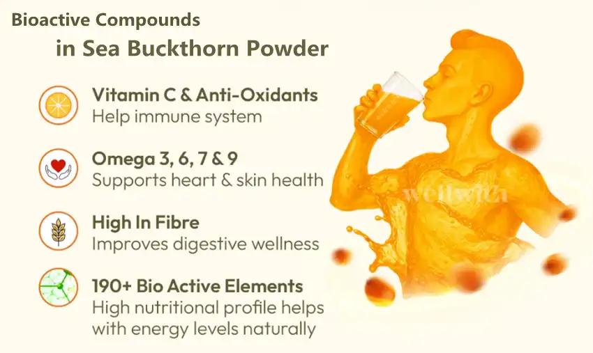 Sea Buckthorn Powder Sea Buckthorn Powder