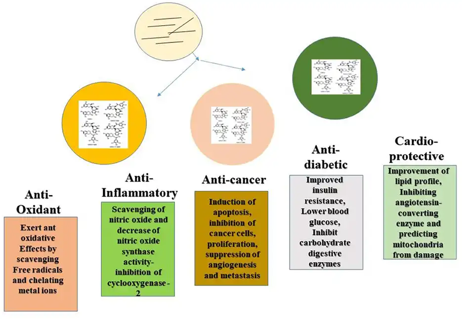 Tea Polyphenol powder benefits Tea Polyphenol powder benefits