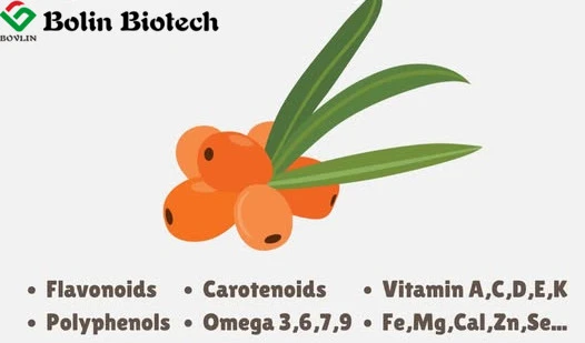 Sea Buckthorn Fruit Powder ingredient Sea Buckthorn Fruit Powder ingredient
