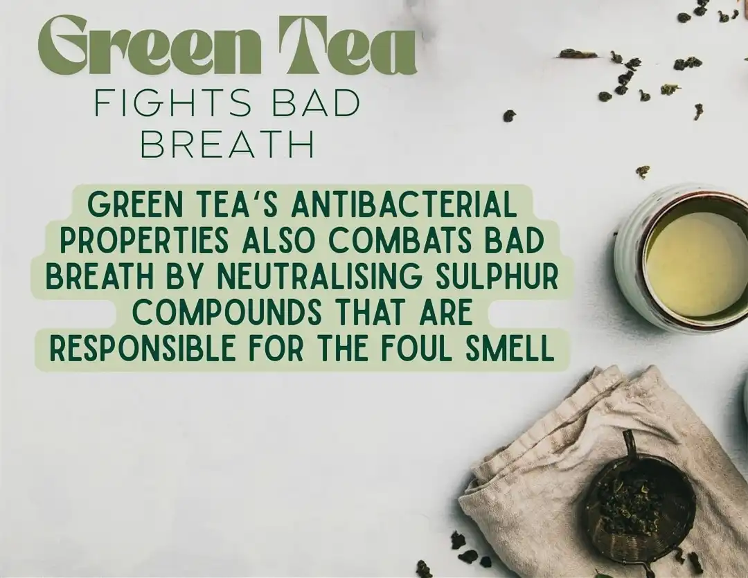 Green Tea Extract