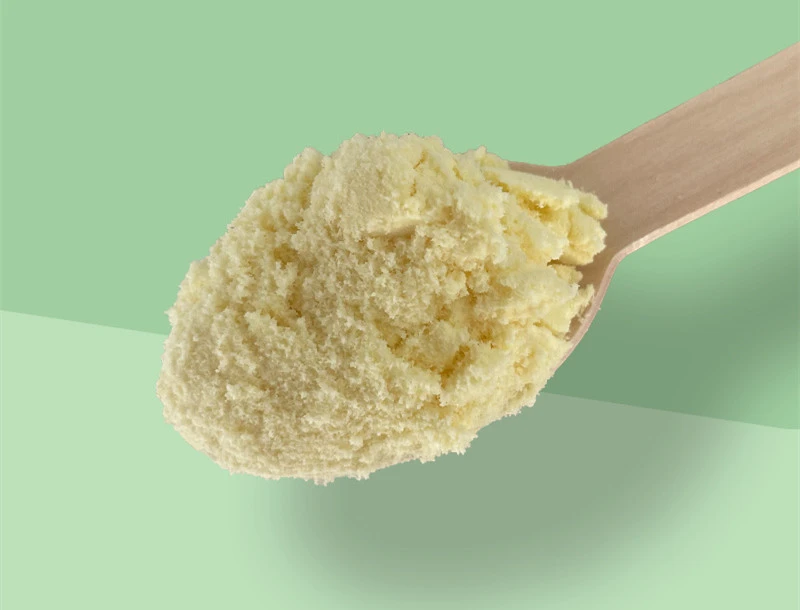 Ginger Root Extract Powder