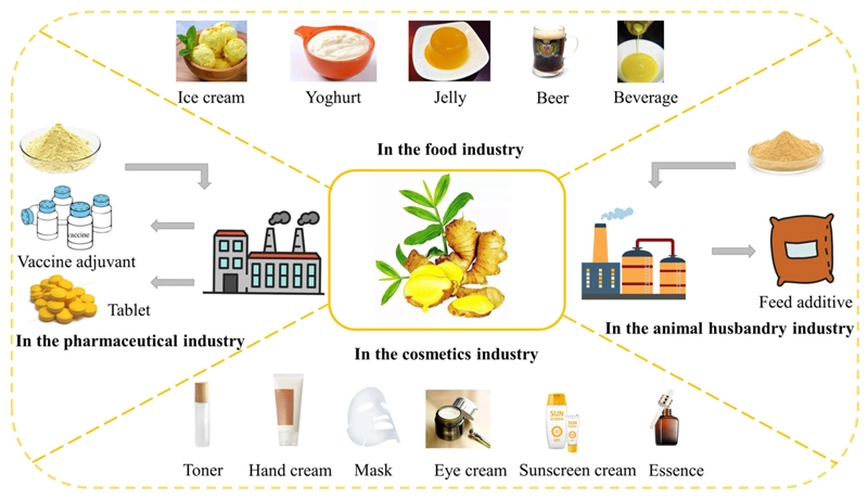 Ginger extract application Ginger extract application