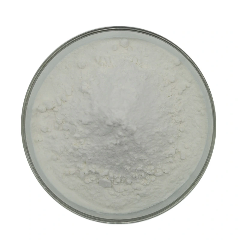 white kidney bean extract powder white kidney bean extract powder