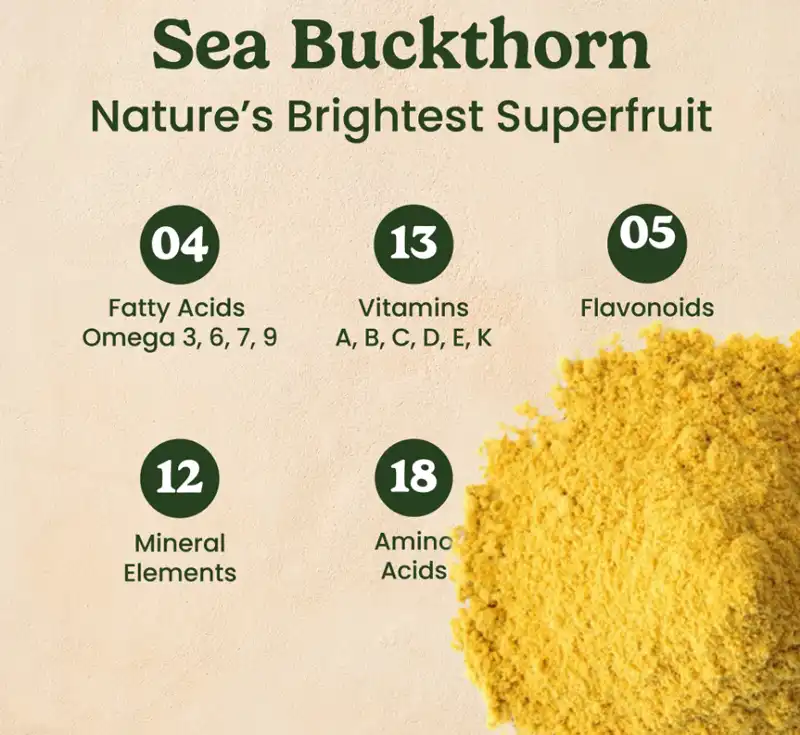 Sea Buckthorn Powder Enhances Skin Sea Buckthorn Powder Enhances Skin