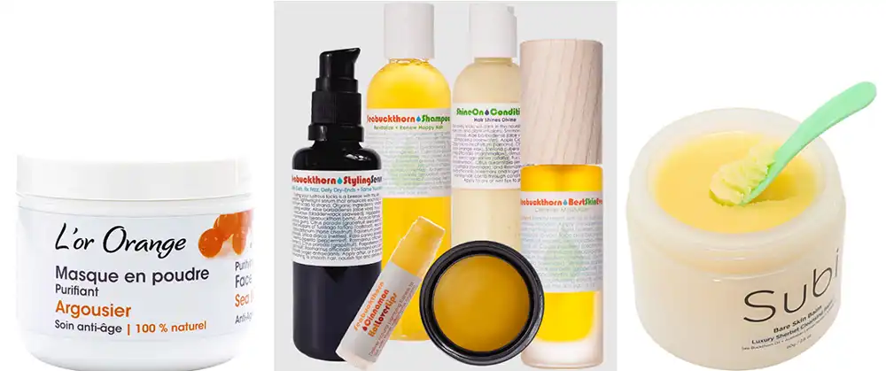 sea buckthorn fruit powder in cosmetic sea buckthorn fruit powder in cosmetic