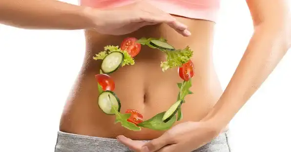 Barley Grass Powder Dietary Fiber