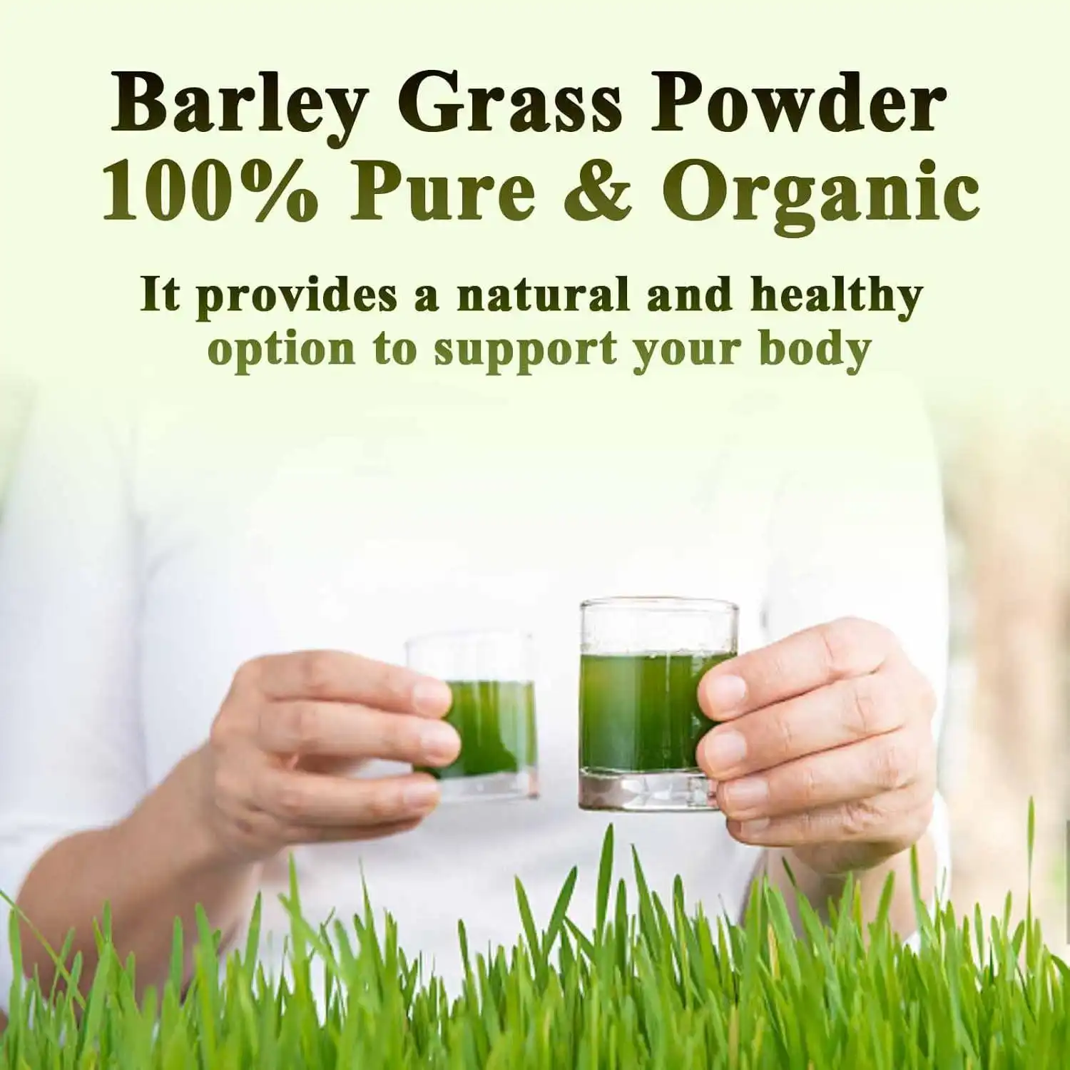 barley grass powder benefits barley grass powder benefits
