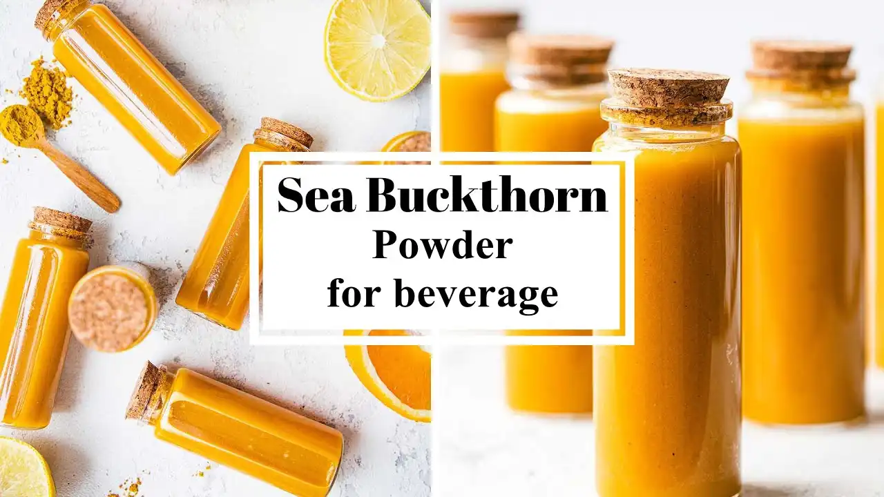 Sea Buckthorn Fruit Powder for beverage Sea Buckthorn Fruit Powder for beverage