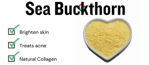 sea buckthorn powder