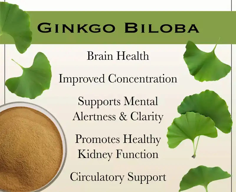 Ginkgo Biloba Extract benefits Ginkgo Biloba Extract benefits