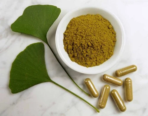 Ginkgo Biloba Extract Ginkgo Biloba Extract