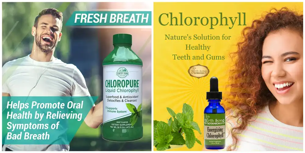 Sodium Copper Chlorophyllin Powder Sodium Copper Chlorophyllin Powder