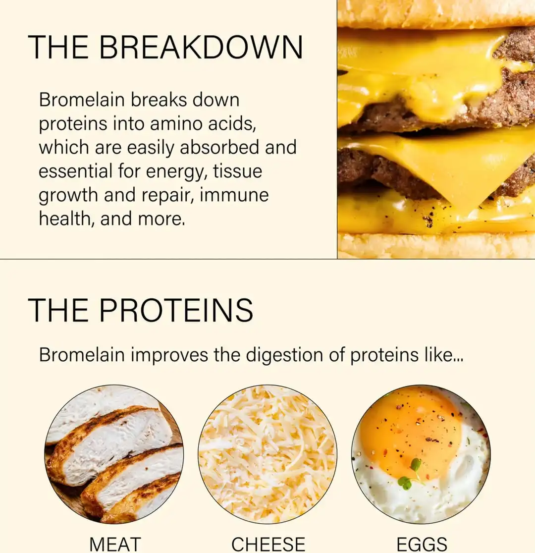 Bromelain Enzyme Powder benefits Bromelain Enzyme Powder benefits