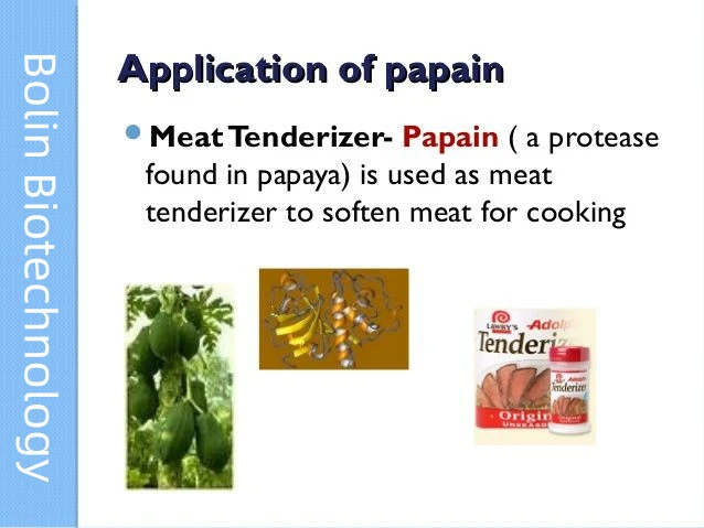 Papain Enzyme Powder benefits