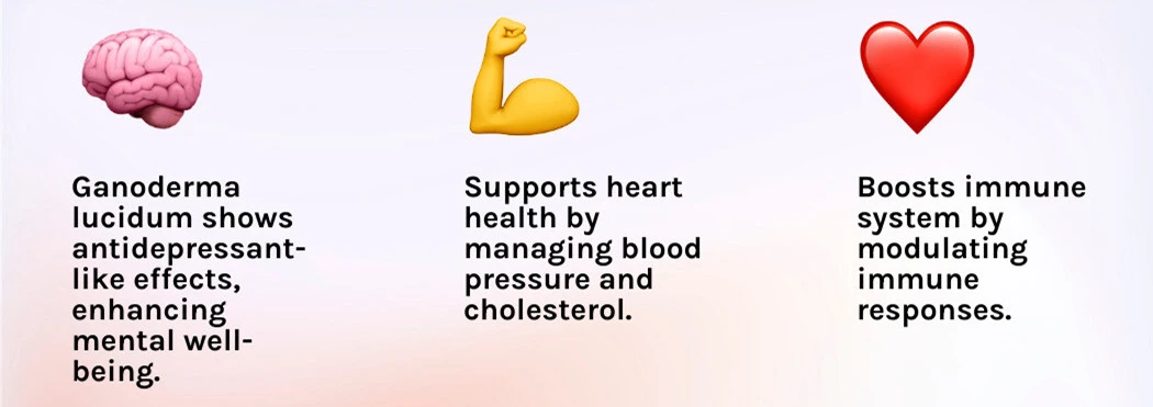 Ganoderma Lucidum Spore Powder benefits Ganoderma Lucidum Spore Powder benefits