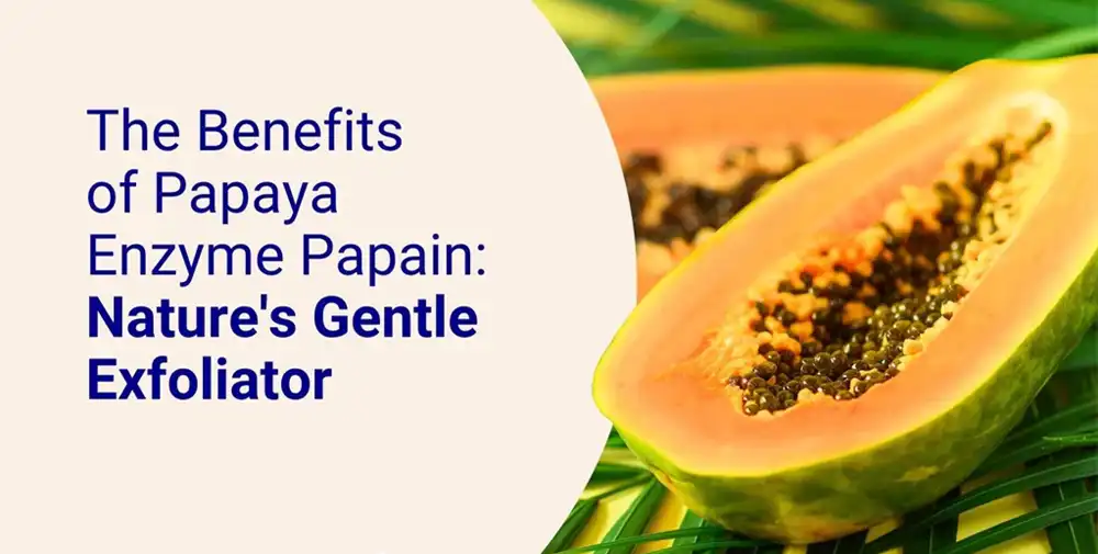 papain enzyme powder papain enzyme powder