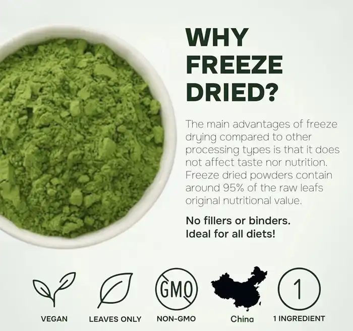 Freeze Dried Spinach Powder