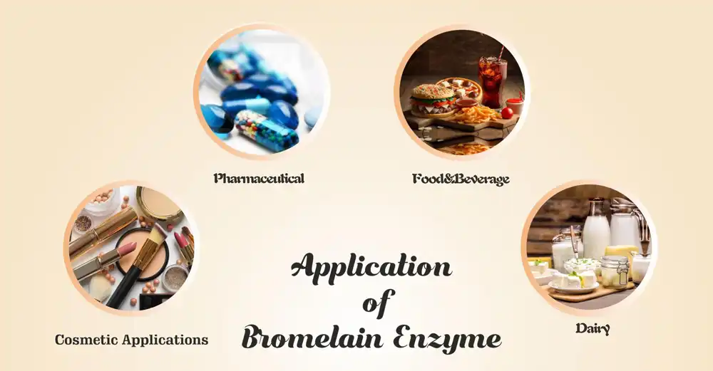Bromelain Enzyme Powder application