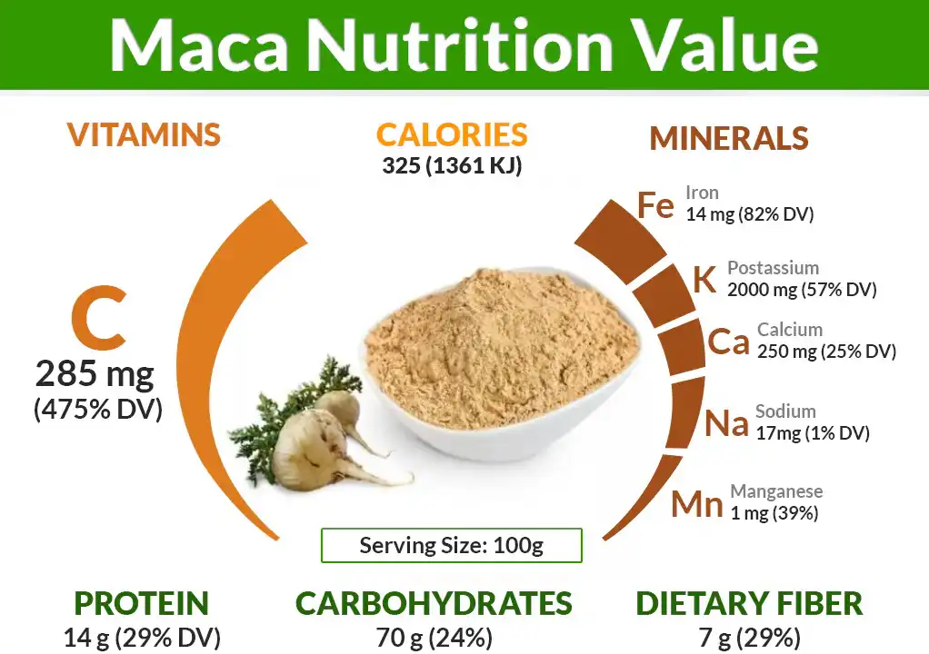 Maca Root Extract Powder