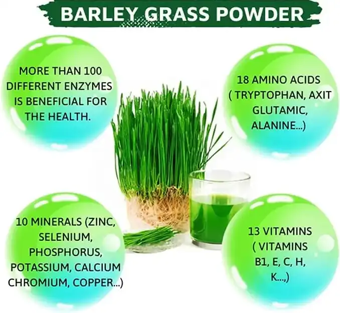 barley grass powder Antioxidant Compounds barley grass powder Antioxidant Compounds