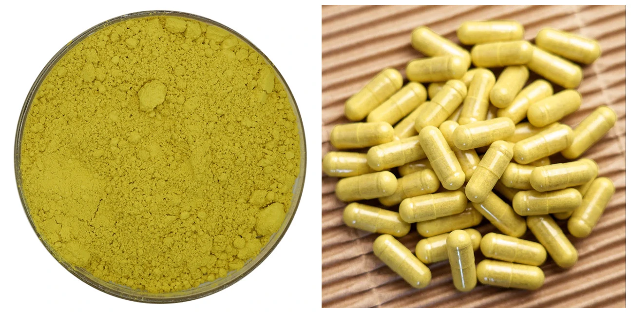 Liposomal Quercetin powder Liposomal Quercetin powder