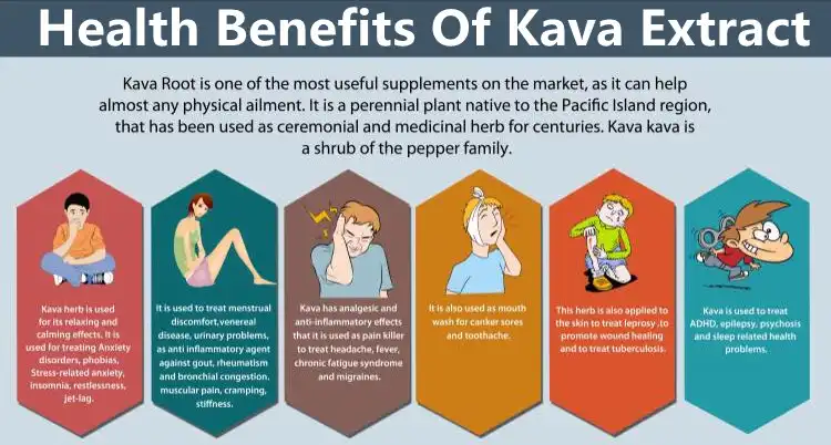 kava extract powder benefits kava extract powder benefits