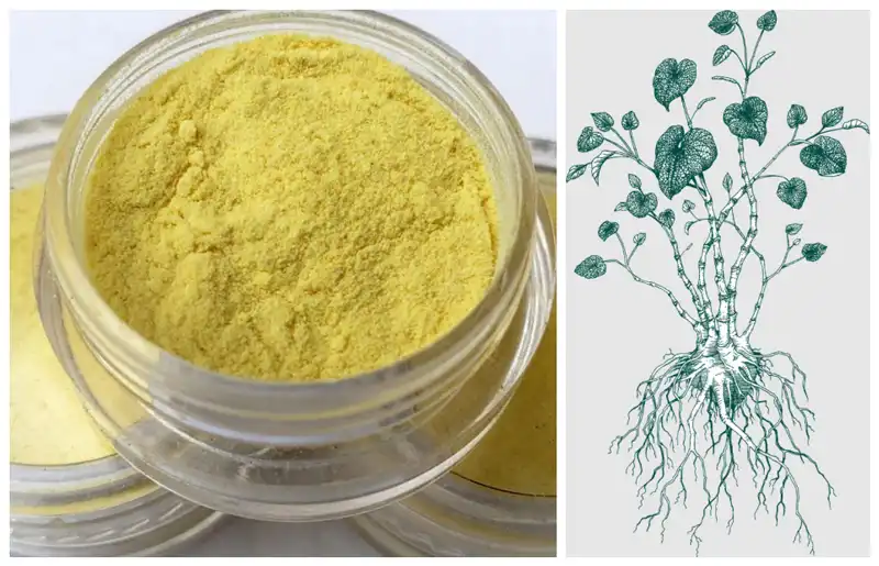 kava extract supplier kava extract supplier