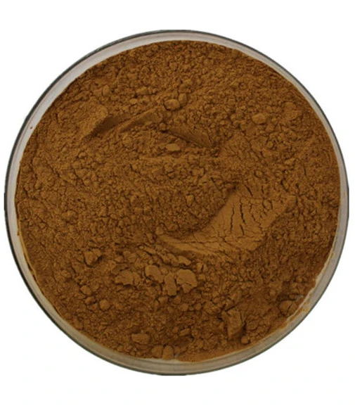 Kacip Fatimah Extract supplier Kacip Fatimah Extract supplier