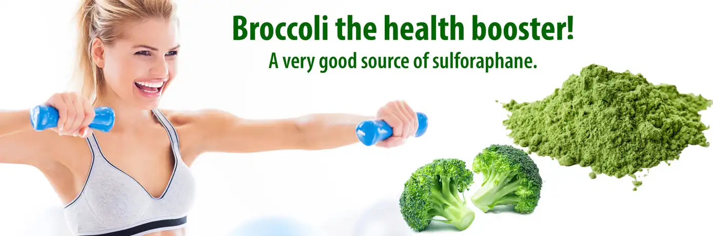 Broccoli powder uses Broccoli powder uses