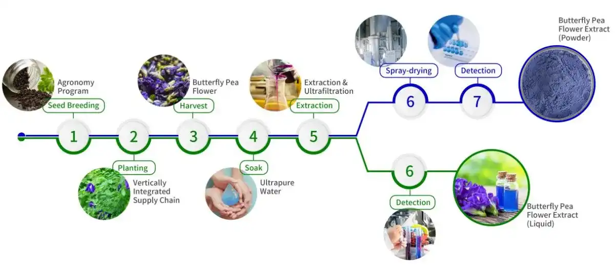 Butterfly Pea Flower Powder process Butterfly Pea Flower Powder process
