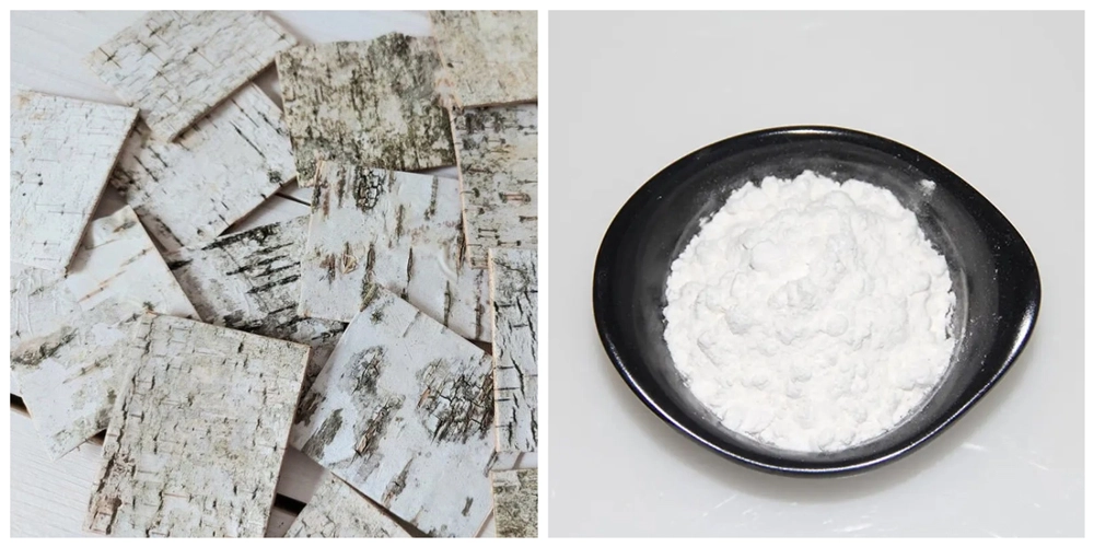 white birch extract Betulinic Acid