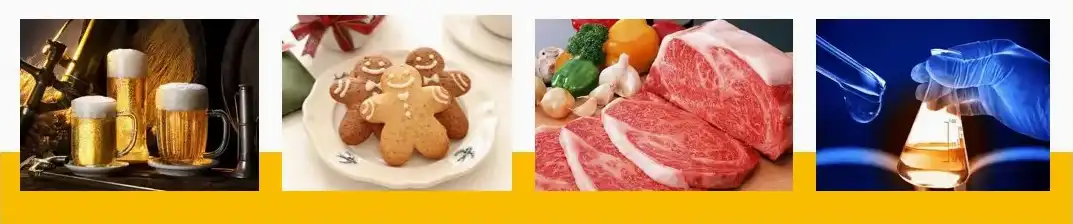 papain enzyme application papain enzyme application