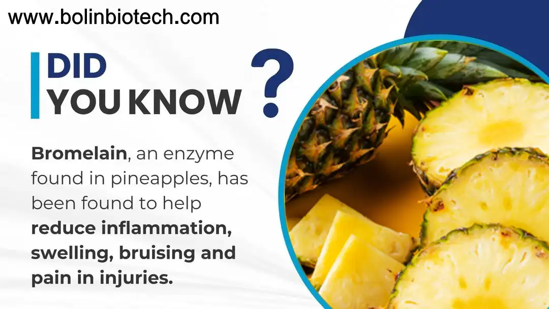 bromelain enzyme powder