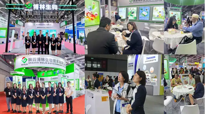 news-692-384 news-692-384