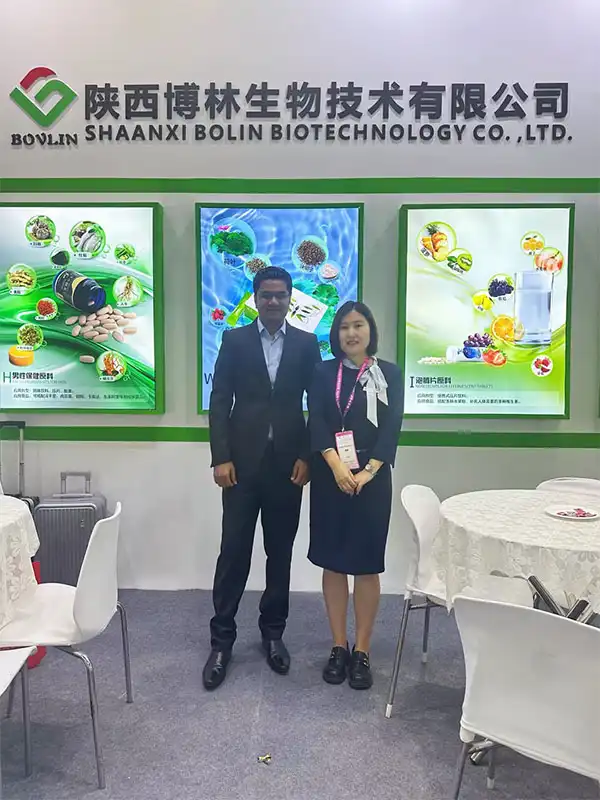 bolin exhibition bolin exhibition