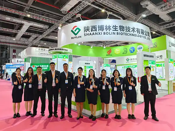 bolin exhibition bolin exhibition