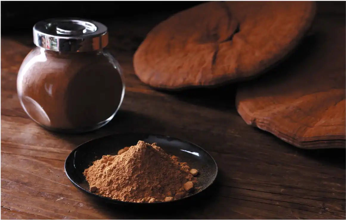 Ganoderma Lucidum Spore Powder Ganoderma Lucidum Spore Powder