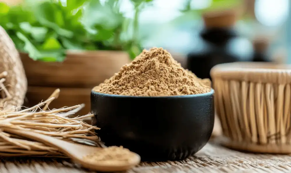 Kava Extract Powder Kava Extract Powder