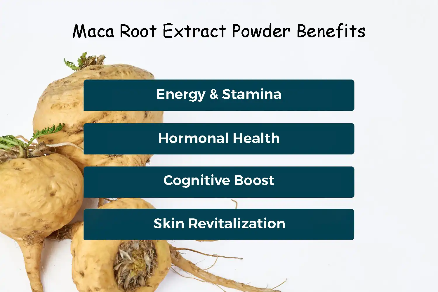 Maca Root Extract Powder Benefits Maca Root Extract Powder Benefits