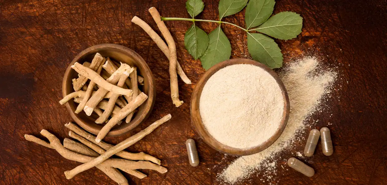 Ashwagandha Root Extract Powder Ashwagandha Root Extract Powder