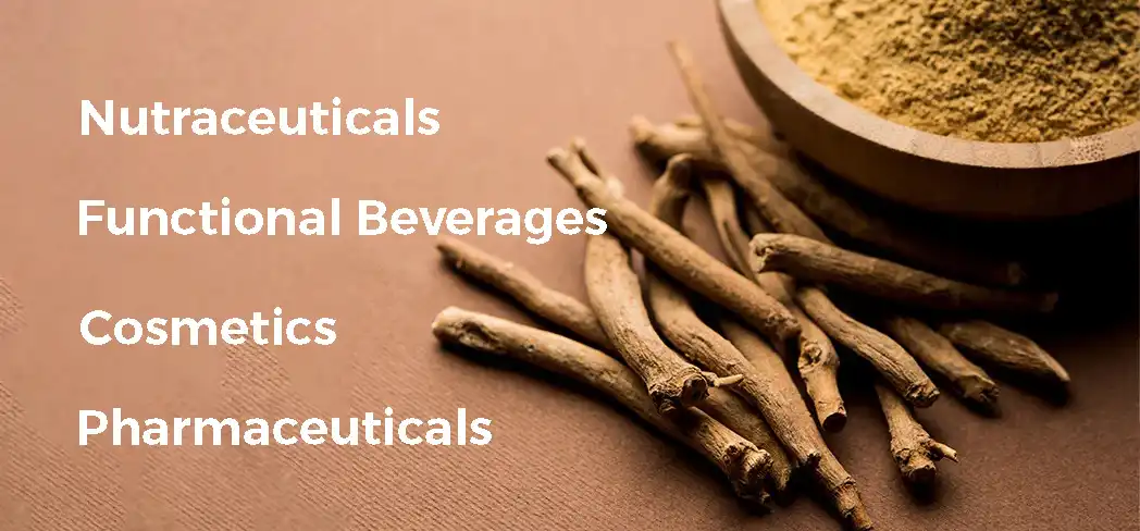 Industry Applications Industry Applications